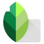 Snapseed Mod Apk